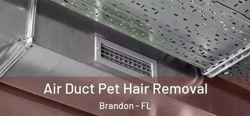 Air Duct Pet Hair Removal Brandon - FL