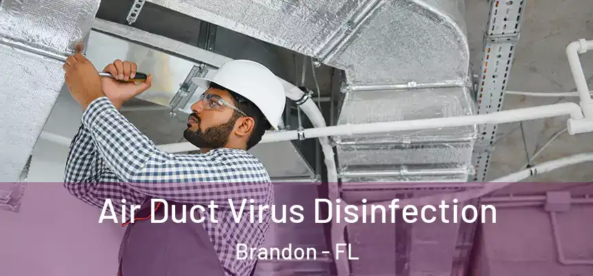Air Duct Virus Disinfection Brandon - FL