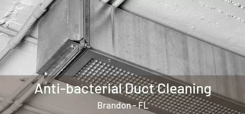 Anti-bacterial Duct Cleaning Brandon - FL