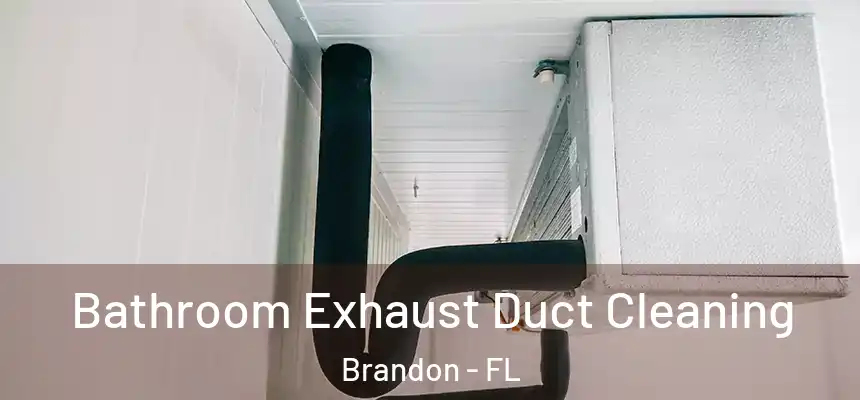 Bathroom Exhaust Duct Cleaning Brandon - FL