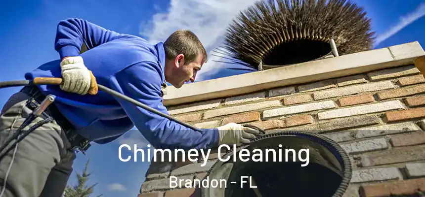 Chimney Cleaning Brandon - FL