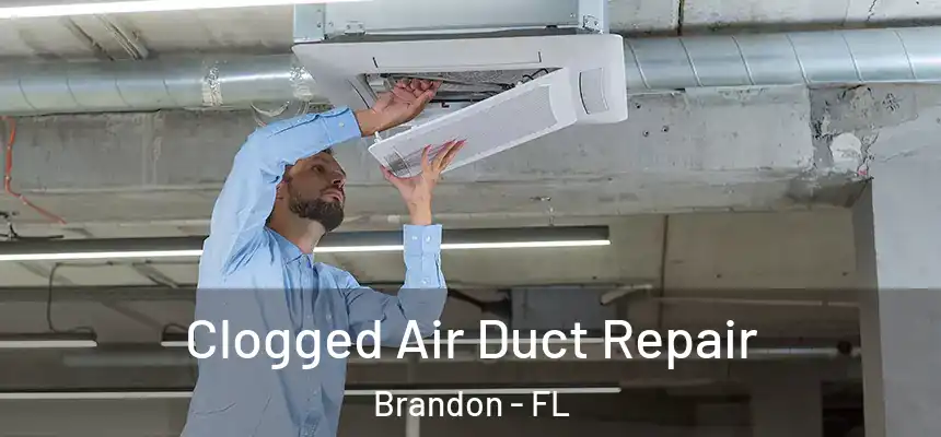 Clogged Air Duct Repair Brandon - FL