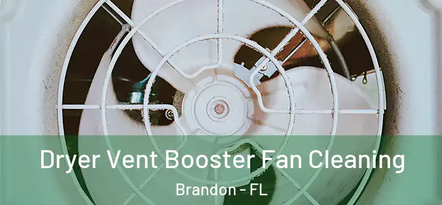 Dryer Vent Booster Fan Cleaning Brandon - FL
