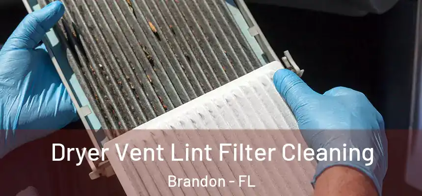Dryer Vent Lint Filter Cleaning Brandon - FL