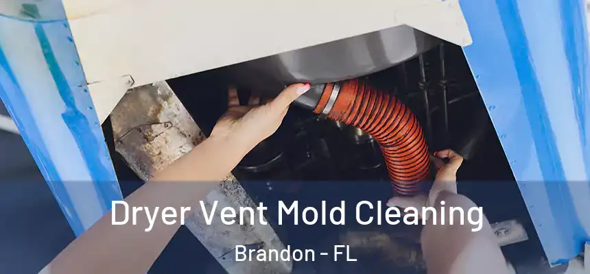 Dryer Vent Mold Cleaning Brandon - FL