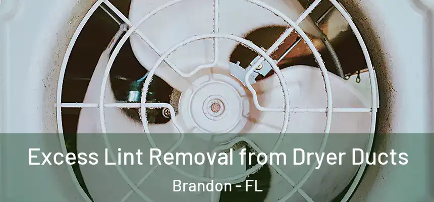 Excess Lint Removal from Dryer Ducts Brandon - FL