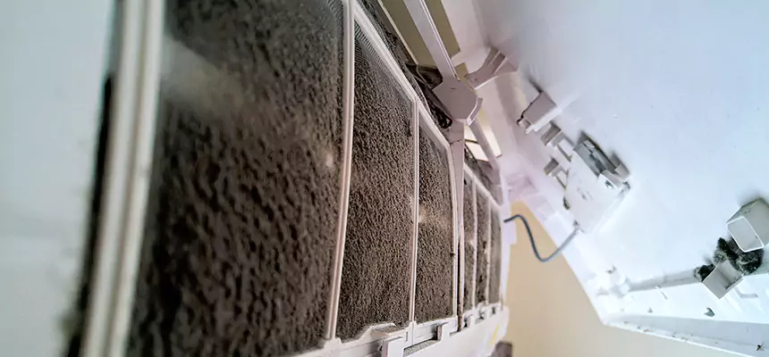 Preventive Air Duct Bacteria Removal in Brandon