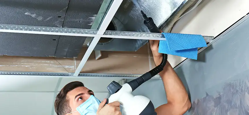 Our Air Duct Rodent Removal Services in Brandon, FL
