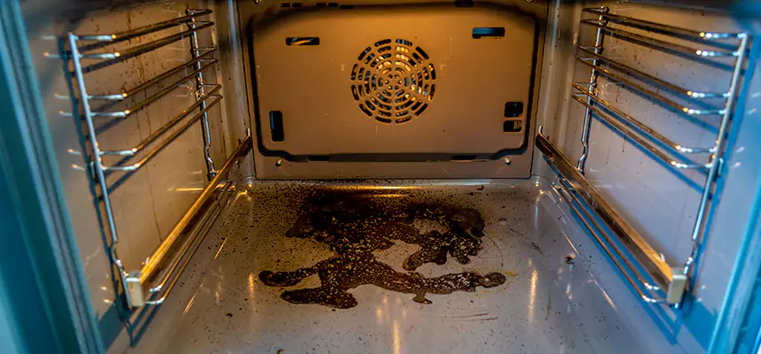 Our Dryer Vent Mold Cleaning Services in Brandon, FL