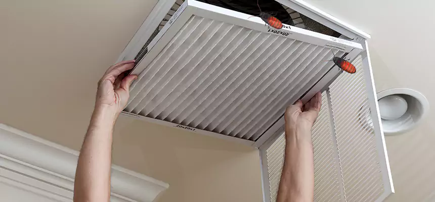 Our Insect Removal from Air Ducts Services in Brandon, FL