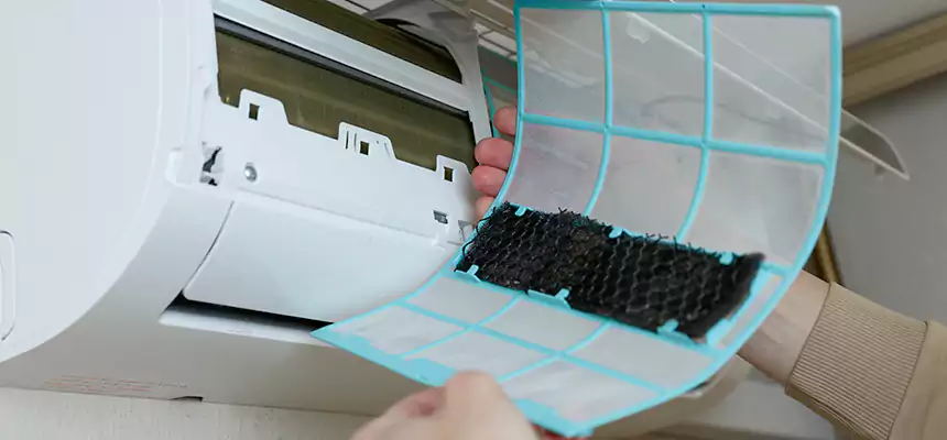 Gentle Ductwork Odor-Control Pet Dander Duct Cleaning in Brandon, FL