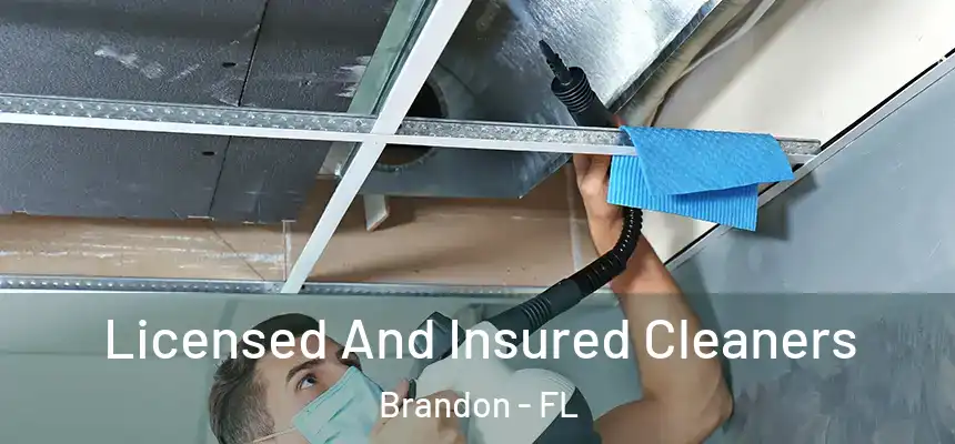 Licensed And Insured Cleaners Brandon - FL