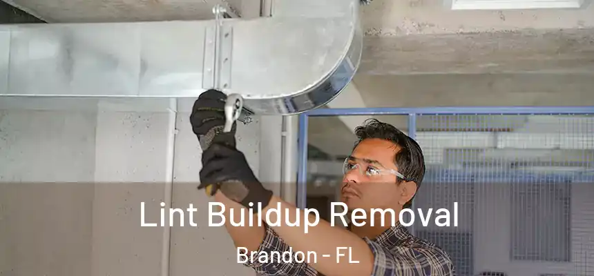 Lint Buildup Removal Brandon - FL