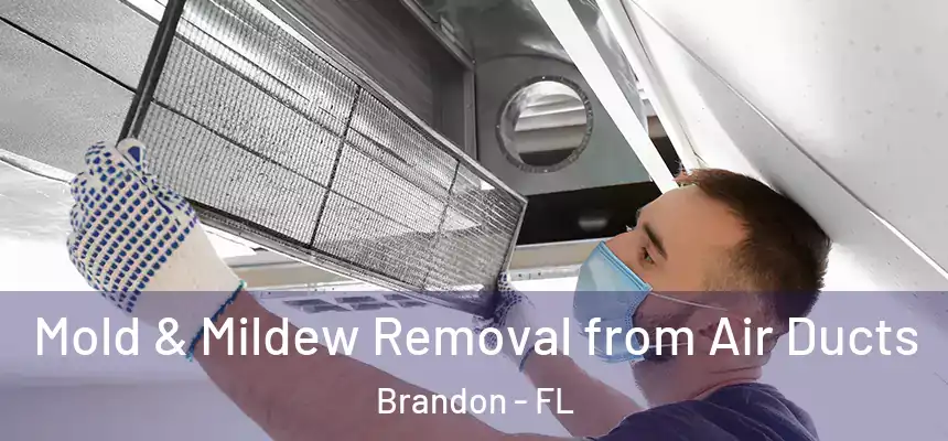 Mold & Mildew Removal from Air Ducts Brandon - FL