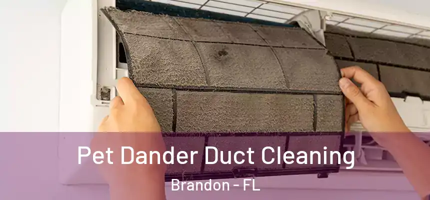 Pet Dander Duct Cleaning Brandon - FL