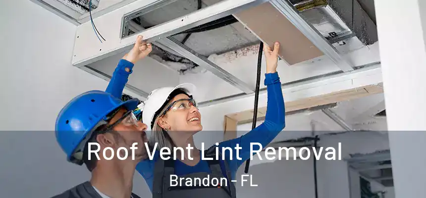 Roof Vent Lint Removal Brandon - FL