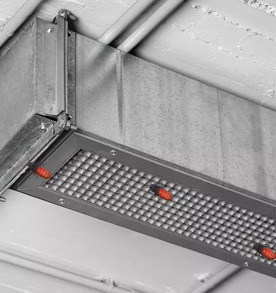 About Air Duct Cockroach Removal in Brandon, FL