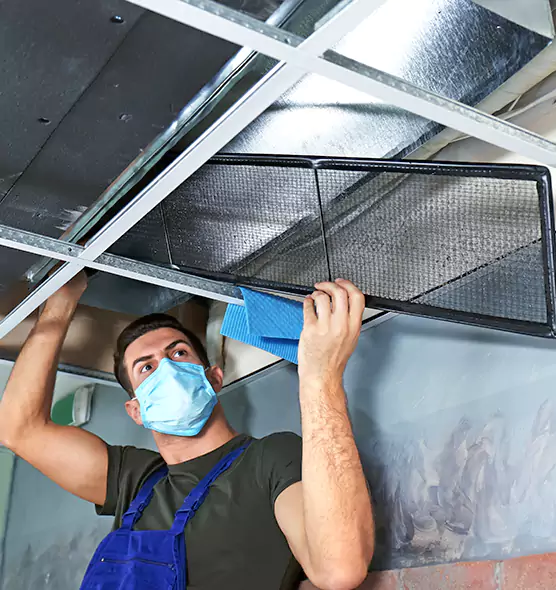 Professional Air Duct Pollen Cleaning in Brandon, FL