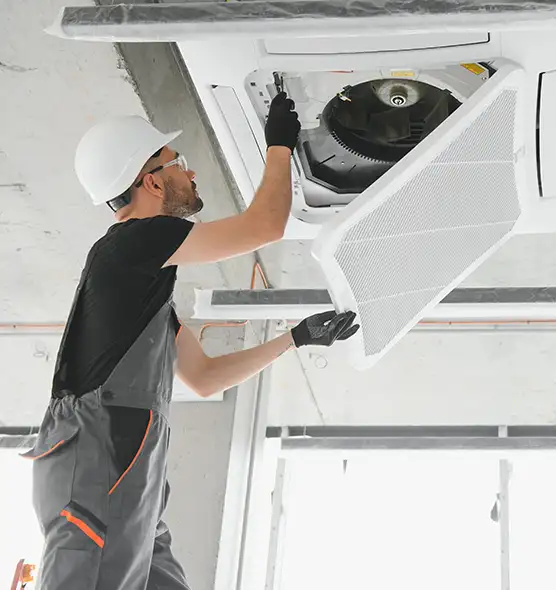 About Air Duct Rodent Removal in Brandon, FL