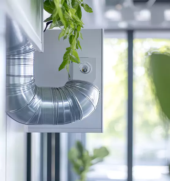 Professional Eco-Friendly Duct Cleaning Services in Brandon, FL