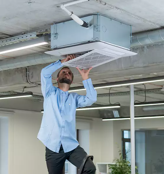 Advanced Rodent Droppings In Vents in Brandon, FL