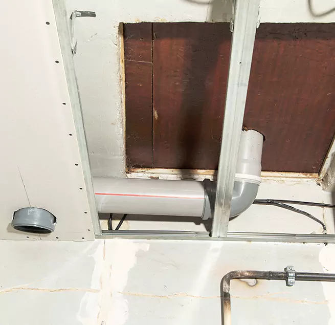 Why Homeowners & Businesses Trust Us in Brandon, FL?