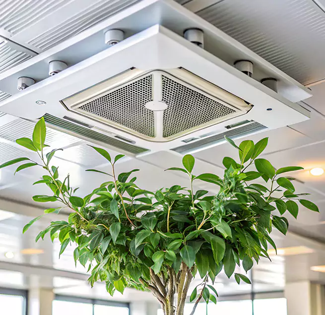 Why Homeowners & Businesses Trust Us in Brandon, FL?