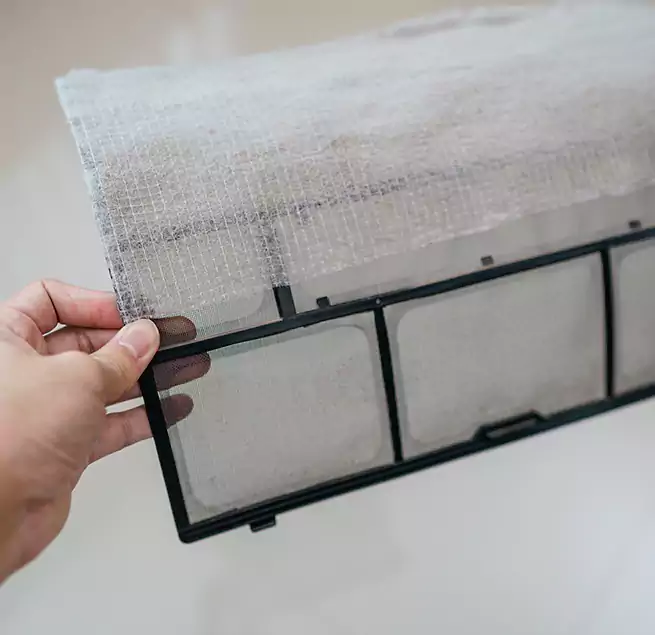 Why Homeowners & Businesses Trust Us in Brandon, FL?