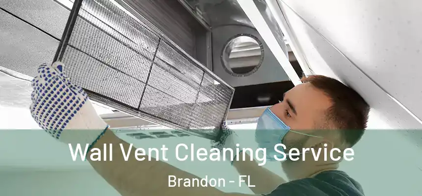 Wall Vent Cleaning Service Brandon - FL